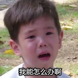 嗯哼表情包哭,揭秘网络爆款背后的感人故事