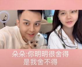 网红 我的小宝贝,萌娃爆笑日常，亲子互动新风尚