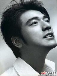 不爱说话的明星